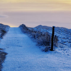 A-Path-Less-Travelled_290