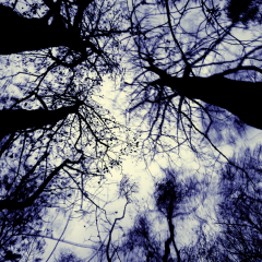 A-Windy-Night_290