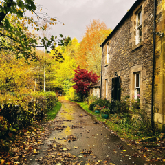 AutumnColour