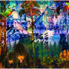 The Enchanted Forest