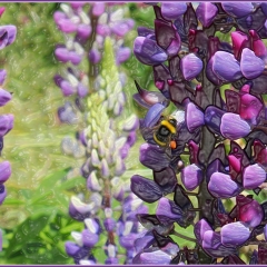 roberta houston - Bee Collecting Pollen
