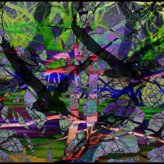 roberta houston - Trees