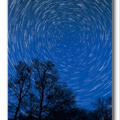 Alan Gray - Tree line vortex