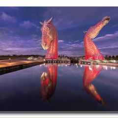 Alan Gray - kelpies