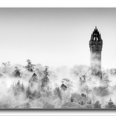 Alan Gray - misty monument