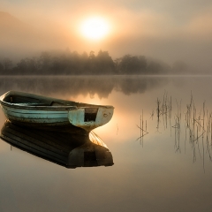 z004Misty Morning 219