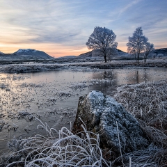 z006Rannoch Morning219 copy