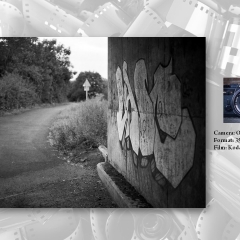 Slide51