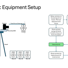 Slide11