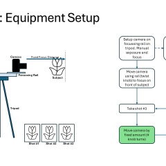 Slide12