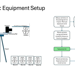 Slide13
