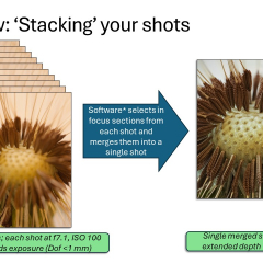 Slide16