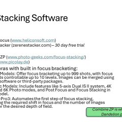 Slide17