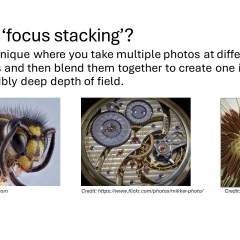 Slide2