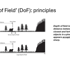 Slide3
