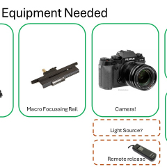 Slide5
