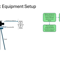 Slide6
