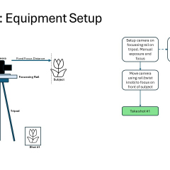 Slide7