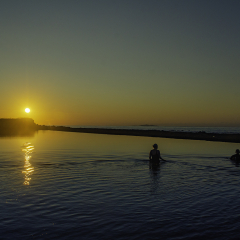 Early-Morning-Swim_82