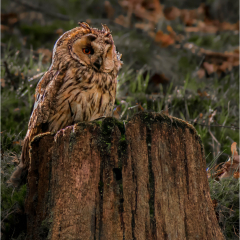 16_Side-Quest-Awaits_298