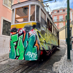 Lisbon-Tram_249