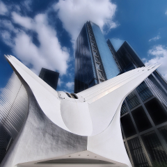 Oculus_271