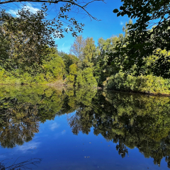 Reflection