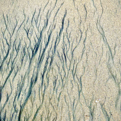 Sand-patterns_53_c