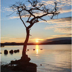 Setting-sun_259