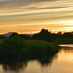 DSC_0443a
