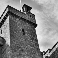 DSC_0484a