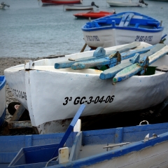 DSC_1149