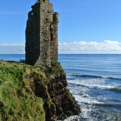 DSC_8586