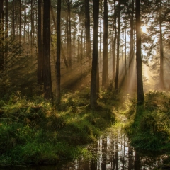 Ethereal - John Kerr
