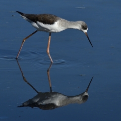 Time to reflect - Brian McWhinnie