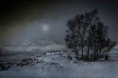 The-Wilderness-Robert-Lapsley